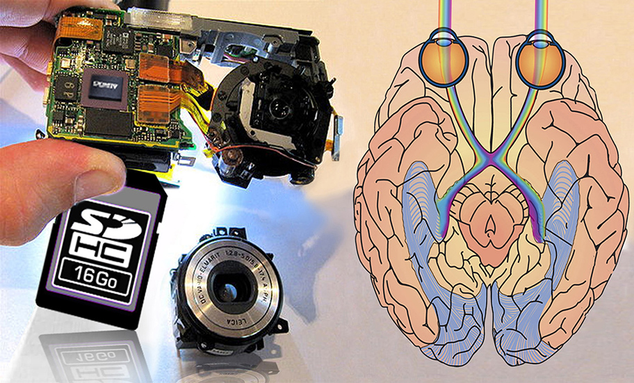 Image 1 - Les Analogies Sensorielles